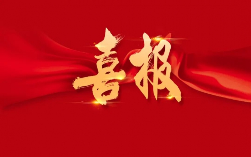 喜訊 - 提升14位！榮程集團位列中國企業500強第201位